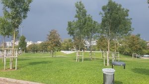 Dalyan Parki Istanbul
