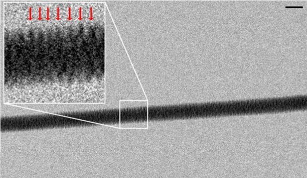 First real DNA photo snapped by Italian physicist – Daniel Irimia