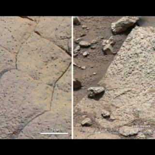 Opportunity Curiosity Mars Rocks