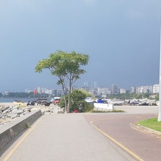 Marmara Sea coast Istanbul